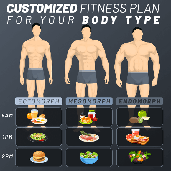 Male Body Types (Ectomorphs, Mesomorphs, and Endomorphs