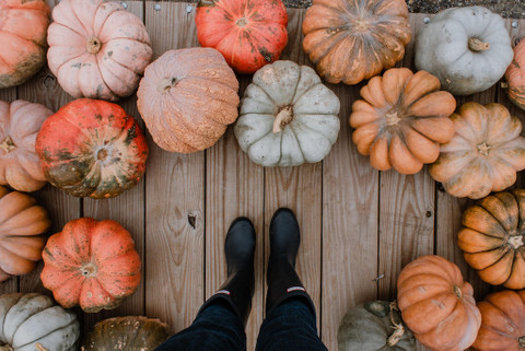 Pumpkin: Calories and Benefits