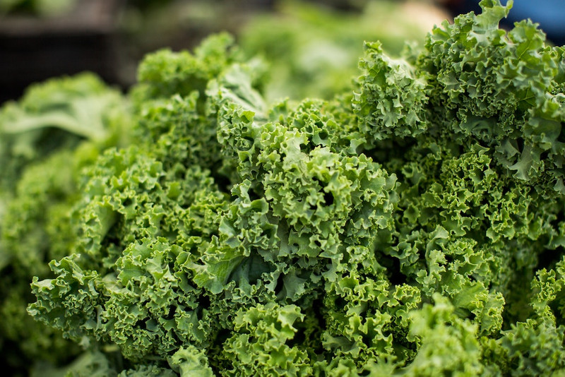 Seasonal Food: Focus on Kale Varietes