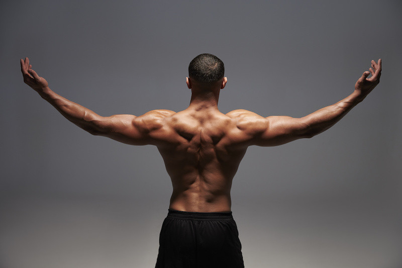The deltoid muscle: where and what is it